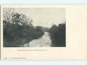 Unused Pre-1907 TREES ALONG THE RIVER BY STONE MILL Norwich New York NY t3259