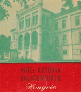 Hungary Balatonfured Hotel Astoria Vintage Luggage Label sk3833