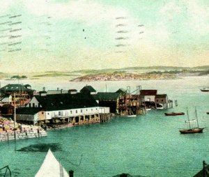 Vtg Postcard 1908 Stonington Maine ME Harbor View Docks Pier Boats