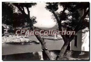 Old Postcard Cassis Entree Du Port