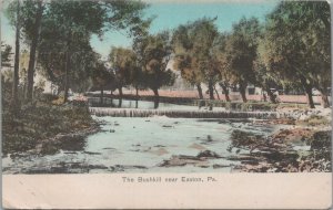 Postcard The Bushkill Near Easton PA 1909