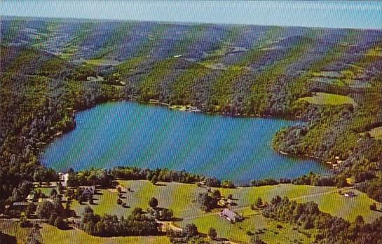 Aerial View Oquaga Lake Deposit New York