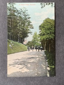 In High Park Toronto Canada Litho Postcard H1348083538