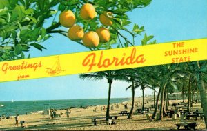 Greetings From Florida The Sunshine State Split View