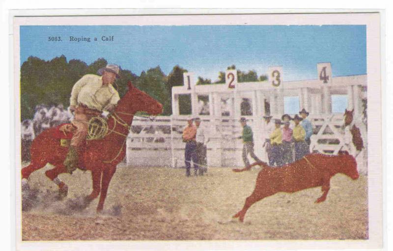 Roping a Calf Cowboy Horse Western Rodeo postcard