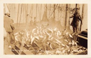 Real Photo Postcard Brailing a Salmon Trap in Alaska~129023