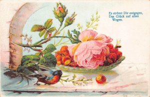 A096 Greetings 1908 Rose strawberry bowl Bird Fly embossed vintage postcard
