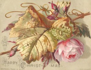 1880's Raphael Tuck Small Christmas Victorian Trade Card P30