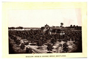 Vintage 1900's Victorian Trade Card Bigelow House Orange Grove Maitland Florida