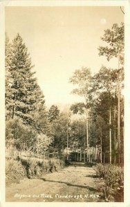 New Mexico Cloudcroft Aspence & Pines 1940s RPPC Photo Postcard 22-4670