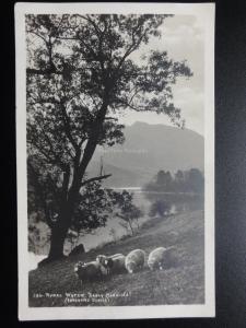 Cumbria: Rydal Water, EARLY MORNING showing Sheep in field c1925 Old RP Postcard