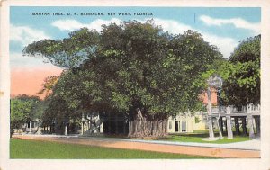 Banyan Tree US Barracks - Key West, Florida FL  