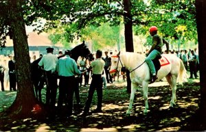 New York Saratoga Race Track  Paddock Area