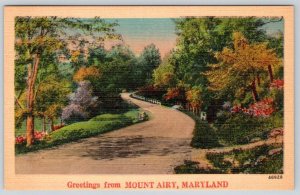 1950-60's GREETINGS FROM MT MOUNT AIRY MARYLAND MD VINTAGE LINEN POSTCARD 46928