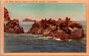 California Catalina Island Seal Rocks