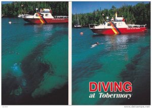 Waterfront View, Diving Charter Boat, Diving at Tobermory, Bruce Peninsula, T...