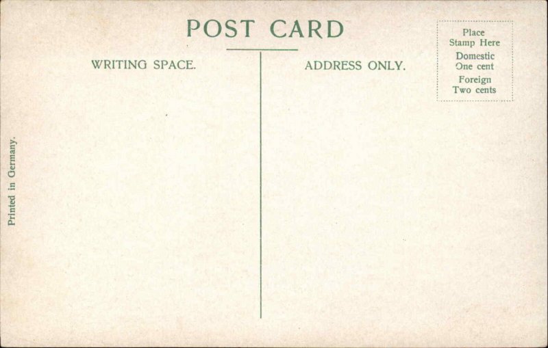 Richmond Virginia VA Museum Fountain c1900s-20s Postcard