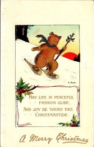 Merry Christmas With Skiing Bear
