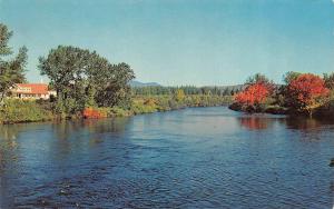 JACKMAN, ME  Maine         HOME ON THE BANKS OF MOOSE RIVER             Postcard