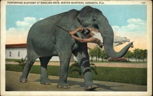 Sarasota FL Man Performing Elephant at Ringling Bros c191...