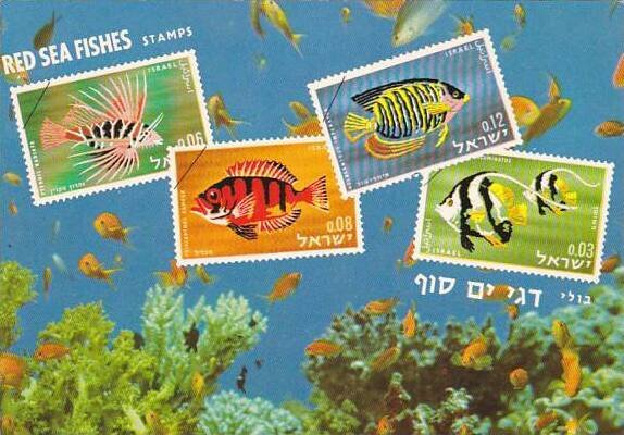 Red Sea Fishes Stamps