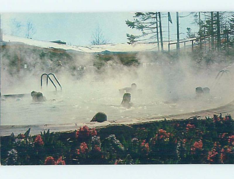 Pre-1980 SKIING - SAUNA POOL AT MAINE-BASED LODGE Mount Snow - Dover VT c4842