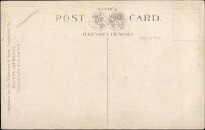 FDNY New York City Steamer Fire Engine Horses in Blankets c1910 Postcard