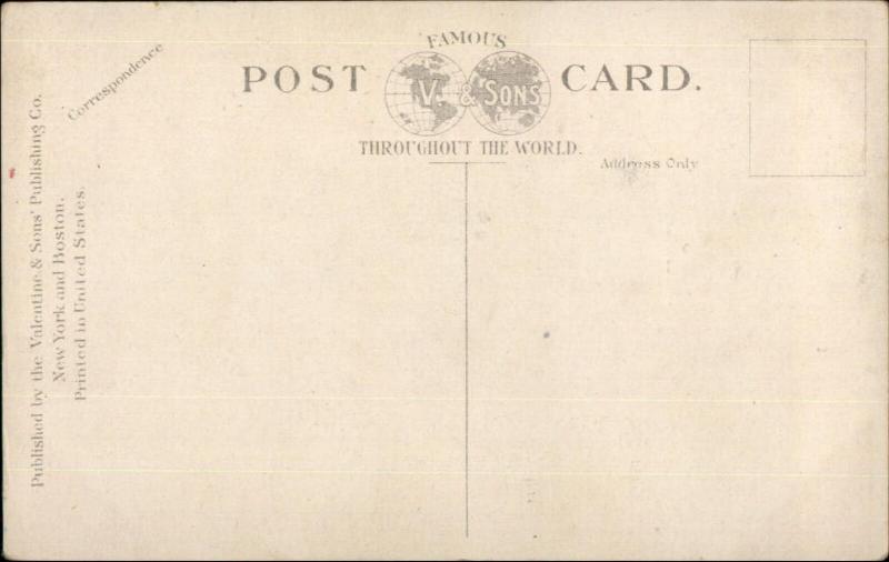 FDNY New York City Steamer Fire Engine Horses in Blankets c1910 Postcard