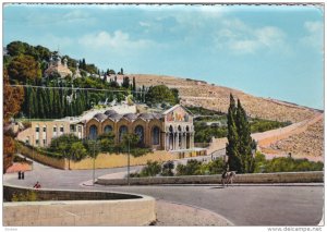 JERUSALEM, Israel; Gethsemane, Donkey, PU-1963