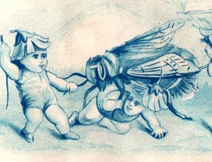 1880s Hanson & Co Fancy Cards Fantasy Fairies Insects Frog Lot Of 4 P141