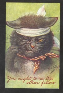 ARTIST SIGNED DRESSED CAT ANGRY CATS FIGHTING KITTEN VINTAGE POSTCARD