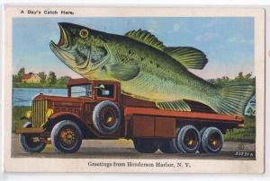 Big Fish, Greetings from Henderson Harbor NY