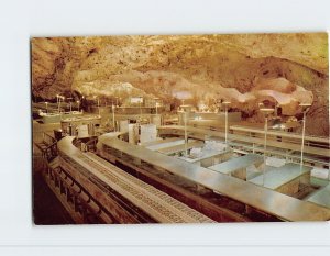 Postcard - Lunch Room, Carlsbad Caverns National Park - Carlsbad, New Mexico