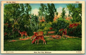 On The Alert Landscape Deer Bay City Michigan MI UNP Linen Postcard F14