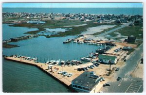1950-60's BEACH HAVEN NJ AERIAL MARINA MORRISON'S SEAFOOD RESTAURANT POSTCARD
