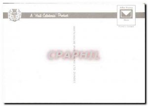 Modern Postcard Paddle Steamer Waverley