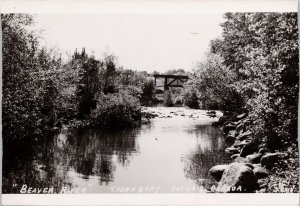 Beaver River Thornbury Ontario ON Ont J. Bain RPPC Postcard E80 *as is