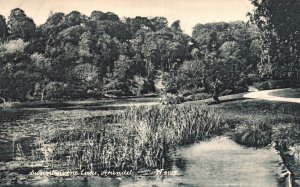 Vintage Postcard 1910's Swanbourne Lake Arundel Sussex England UK Wyndham Series