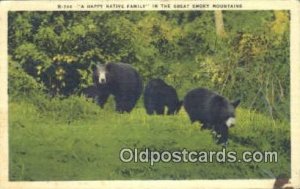 Great Smoky Mountain National Park Bear, Black and Brown Bear Unused light in...