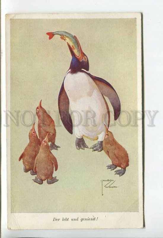 444059 Lawson WOOD Polar Exploration PENGUIN Hungry FISH Vintage postcard