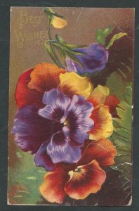 Flowers  Best Wishes