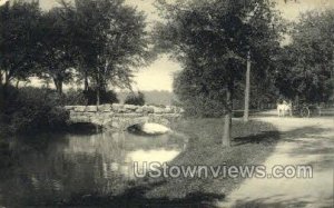 Rustic Bridge to Willow Island in Niagara Falls, New York