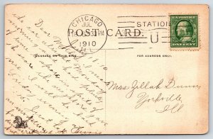 Northern Two Track Through Woods and Water Postmark Chicago IL C1907 Postcard