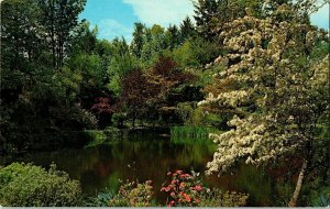 Lake Sunken Gardens Butchart Gardens Victoria BC Postcard Vintage Unposted UNP 