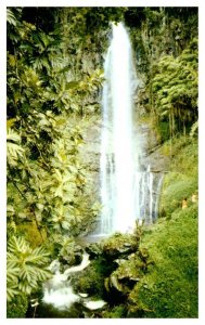 Wailua Falls Maui near Hana Hawaii Postcard Posted 1985