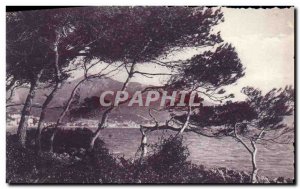 Old Postcard Au Cap Martin