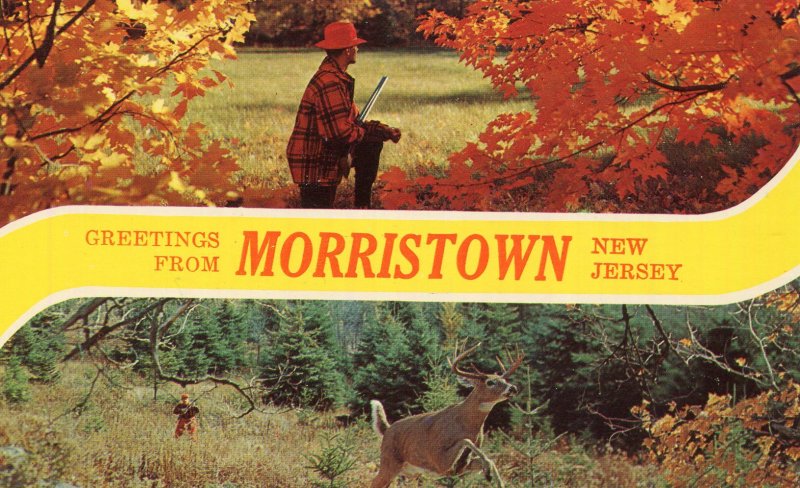 MORRISTOWN NJ BANNER GREETINGS HUNTER & DEER UNUSED CHROME POSTCARD