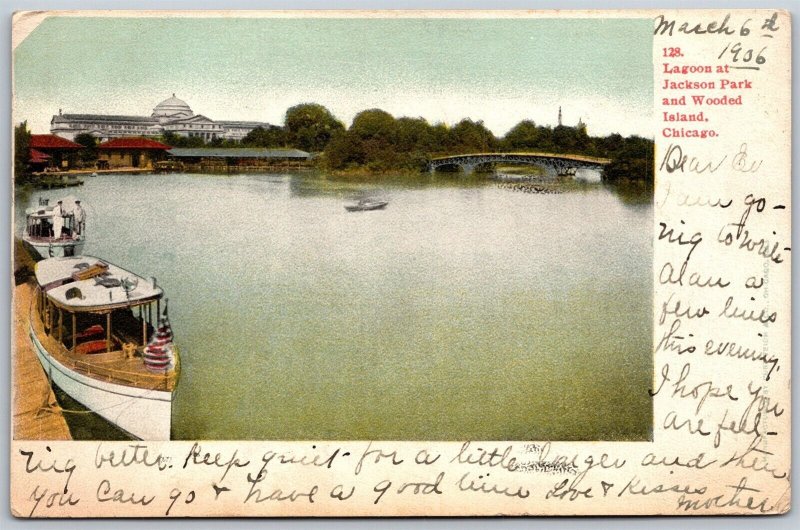 Vtg Chicago Illinois IL Lagoon Jackson Park & Wooded Island 1906 View Postcard