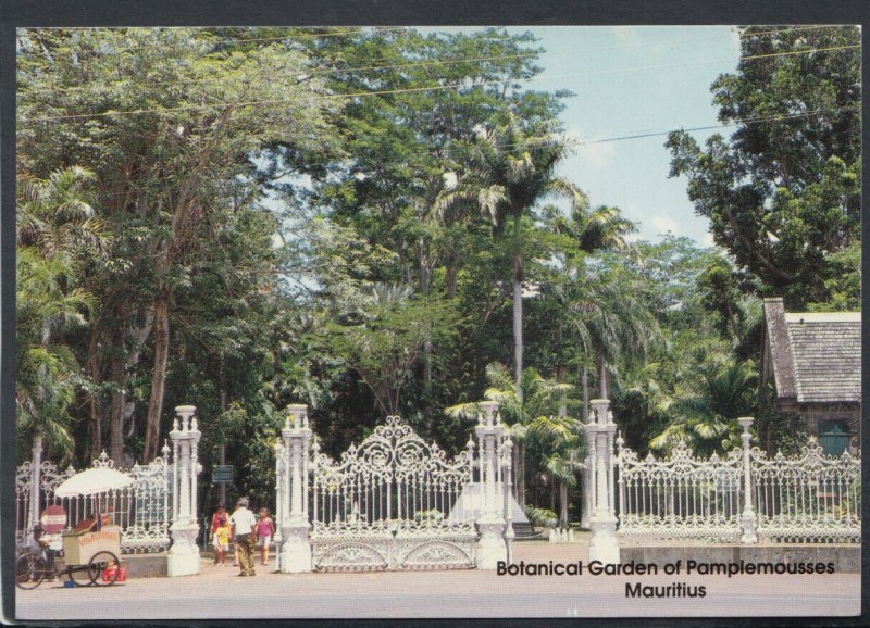 Mauritius Postcard - Botanical Garden of Pamplemousses T7044