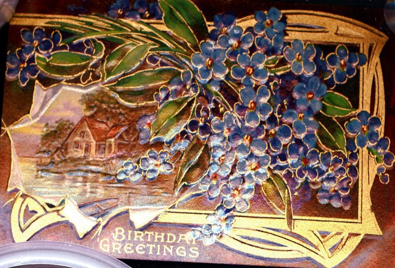 Birthday~BEAUTIFUL FORGET-ME-NOTS & LAKE HOUSE~GOLD~Antique GEL Postcard~Germany